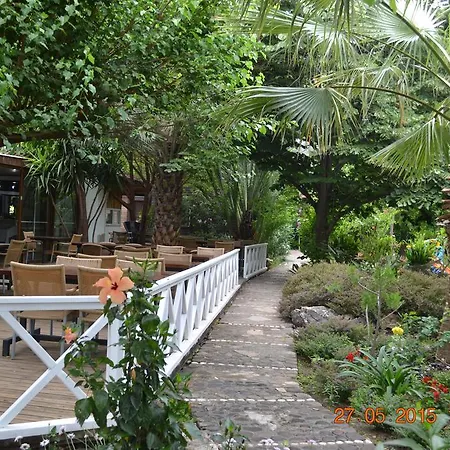 Oleander 马纳夫加特