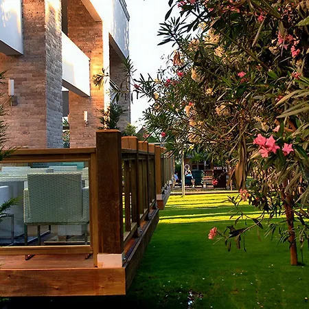 Oleander 5* سيدي