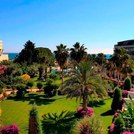 Oleander فندق