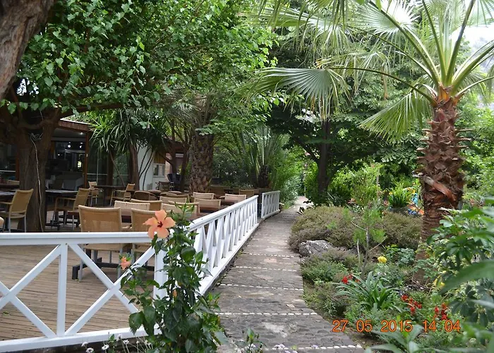 Oleander Манавгат