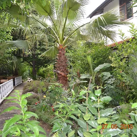 Szálloda Oleander Manavgat